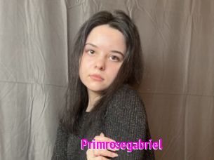 Primrosegabriel