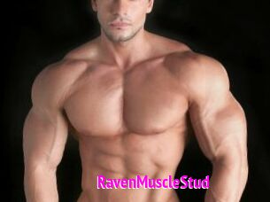 RavenMuscleStud
