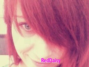 RedDaisy