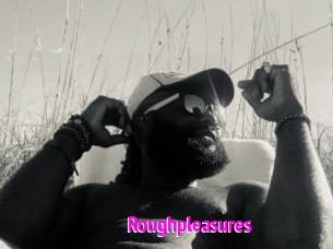 Roughpleasures