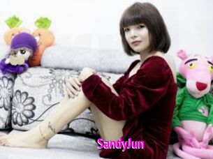 SandyJun