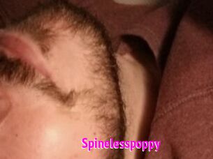 Spinelesspoppy