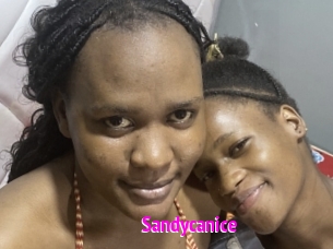 Sandycanice