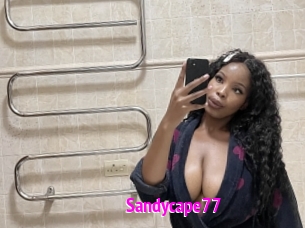 Sandycape77