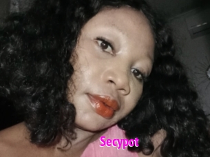 Secypot