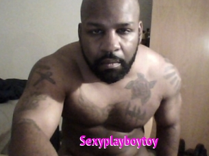 Sexyplayboytoy