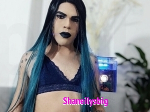 Shaneilysbig