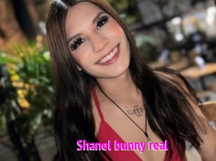 Shanel_bunny_real