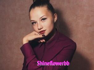 Shineflowerbb