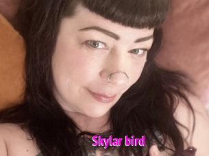 Skylar_bird