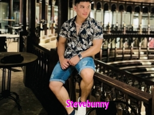 Stevebunny