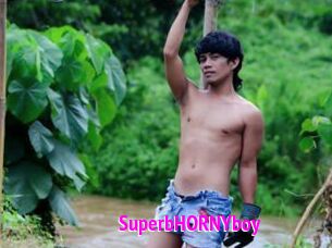 SuperbHORNYboy