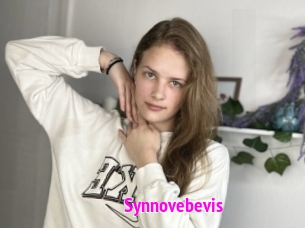 Synnovebevis