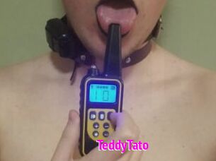 TeddyTato