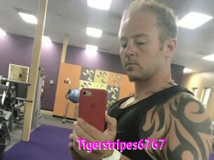 Tigerstripes6767