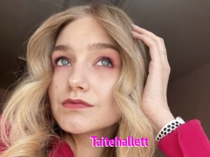 Taitehallett