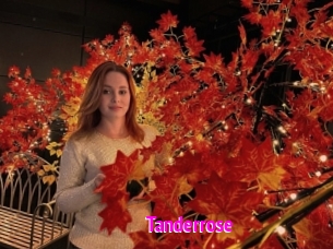 Tanderrose