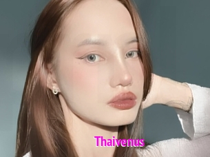 Thaivenus