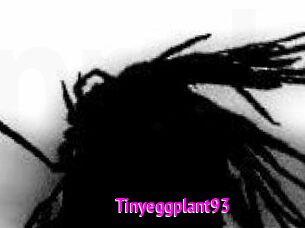 Tinyeggplant93