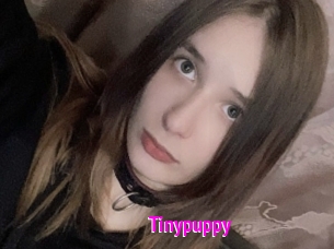 Tinypuppy
