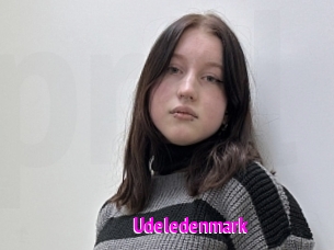 Udeledenmark