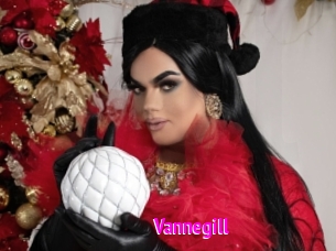 Vannegill