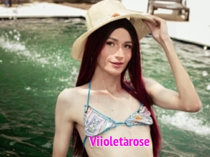 Viioletarose