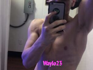 Waylo23