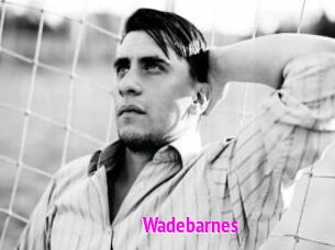 Wadebarnes