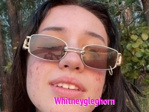 Whitneygleghorn
