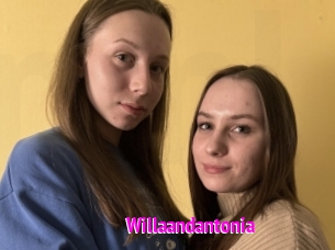 Willaandantonia