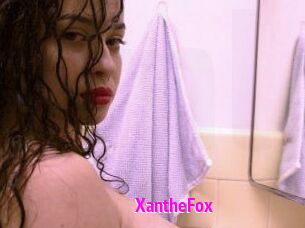 Xanthe_Fox