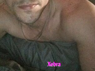 Xebra