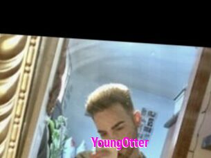 YoungOtter