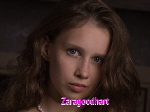 Zaragoodhart